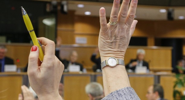 Ausschusssitzung © European Union 2013 - EP