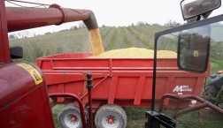 Mais wird zu Bioethanol weiterverarbeitet © European Union